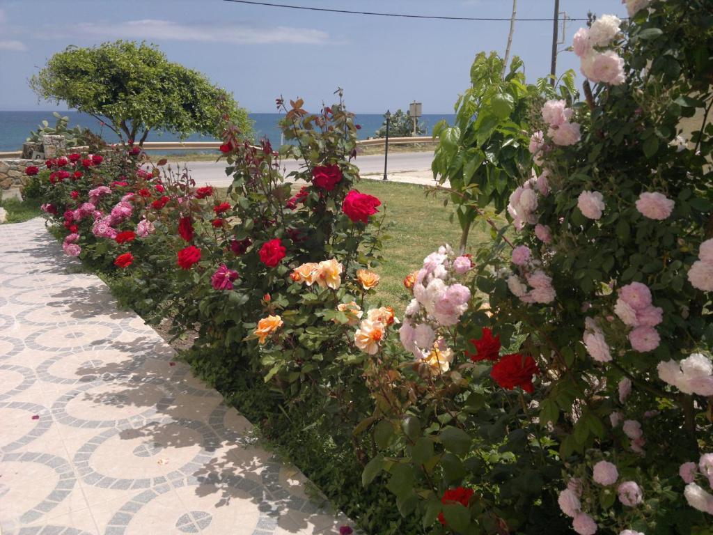Asterina Seaside Apartments Kalyves Esterno foto